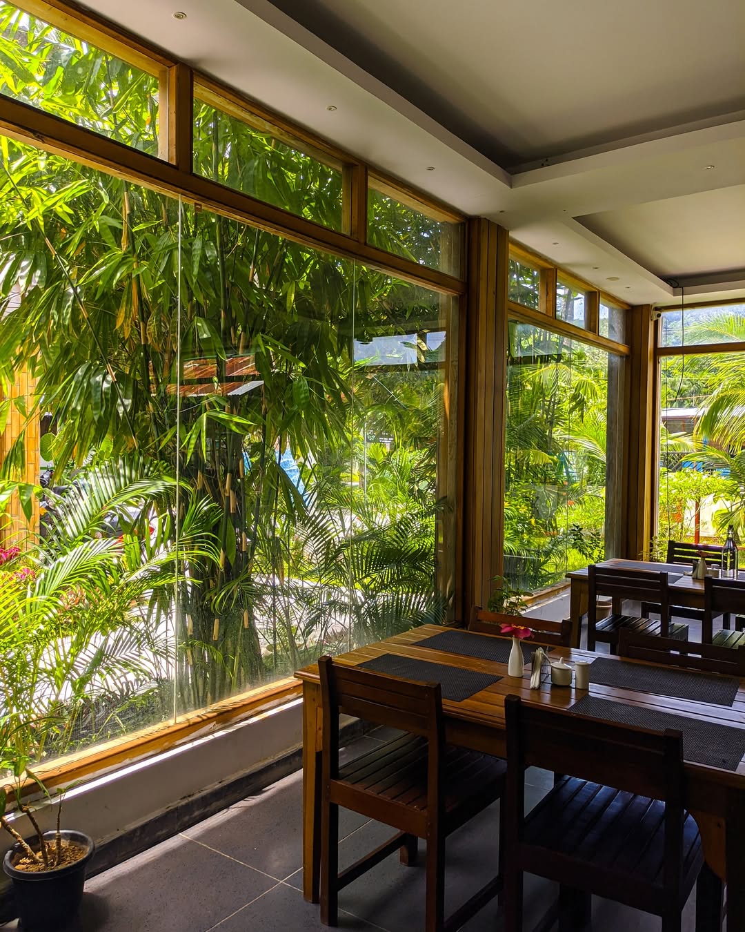 Ocean tree - Dining area.jpeg